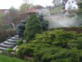 /album/kedvenc-kertek/a2012febr14-118-jpg1/